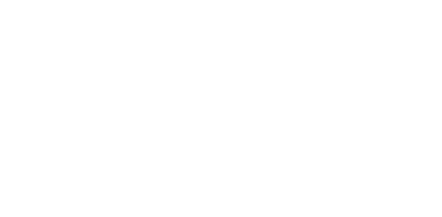 AA Art Dynasty logo