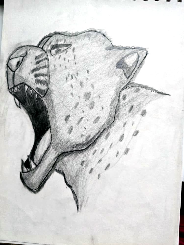 Pencil sketch of a roaring leopard